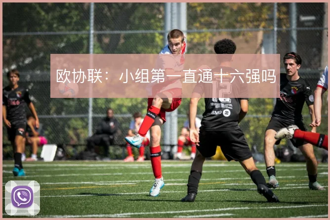 欧协联：小组第一直通十六强吗